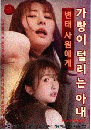 推荐剧旧城故事海报